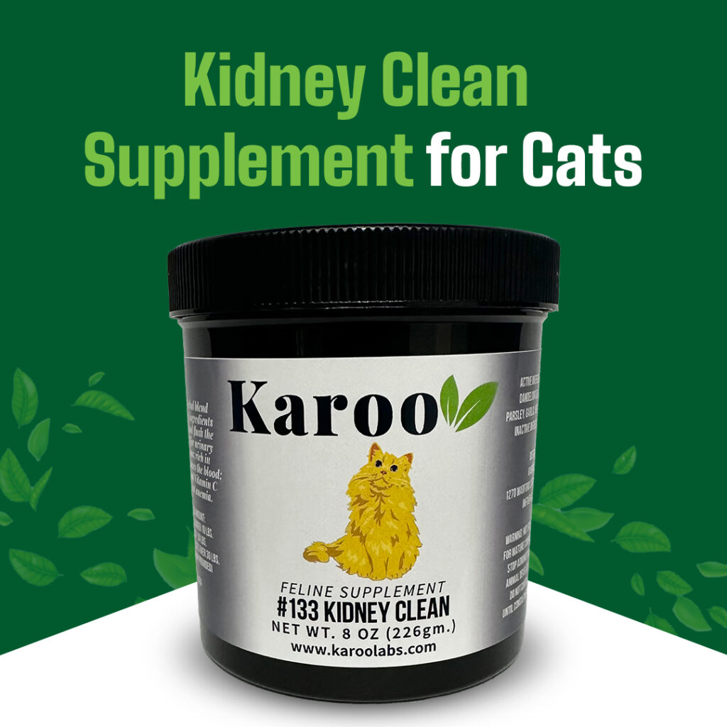 Kidney Clean Supplement for Cats - Karoo Labs